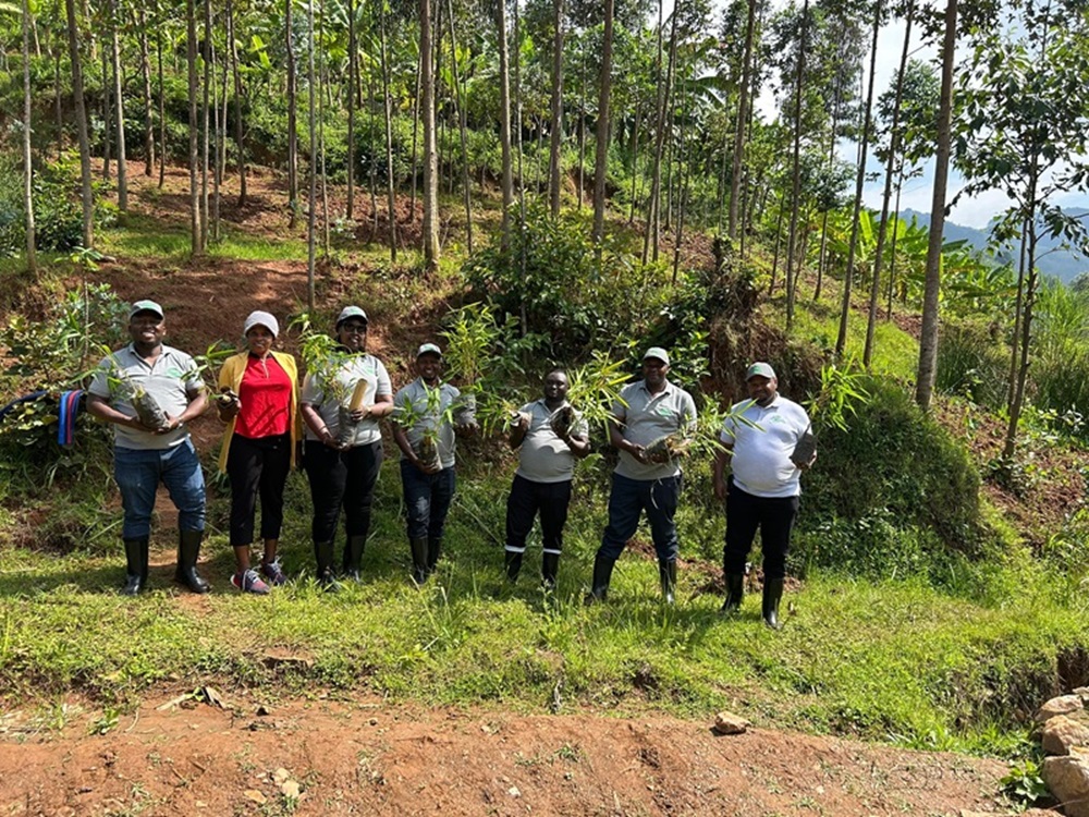 Land Restoration for Resilient and Sustainable Farming Systems in Rutsiro District